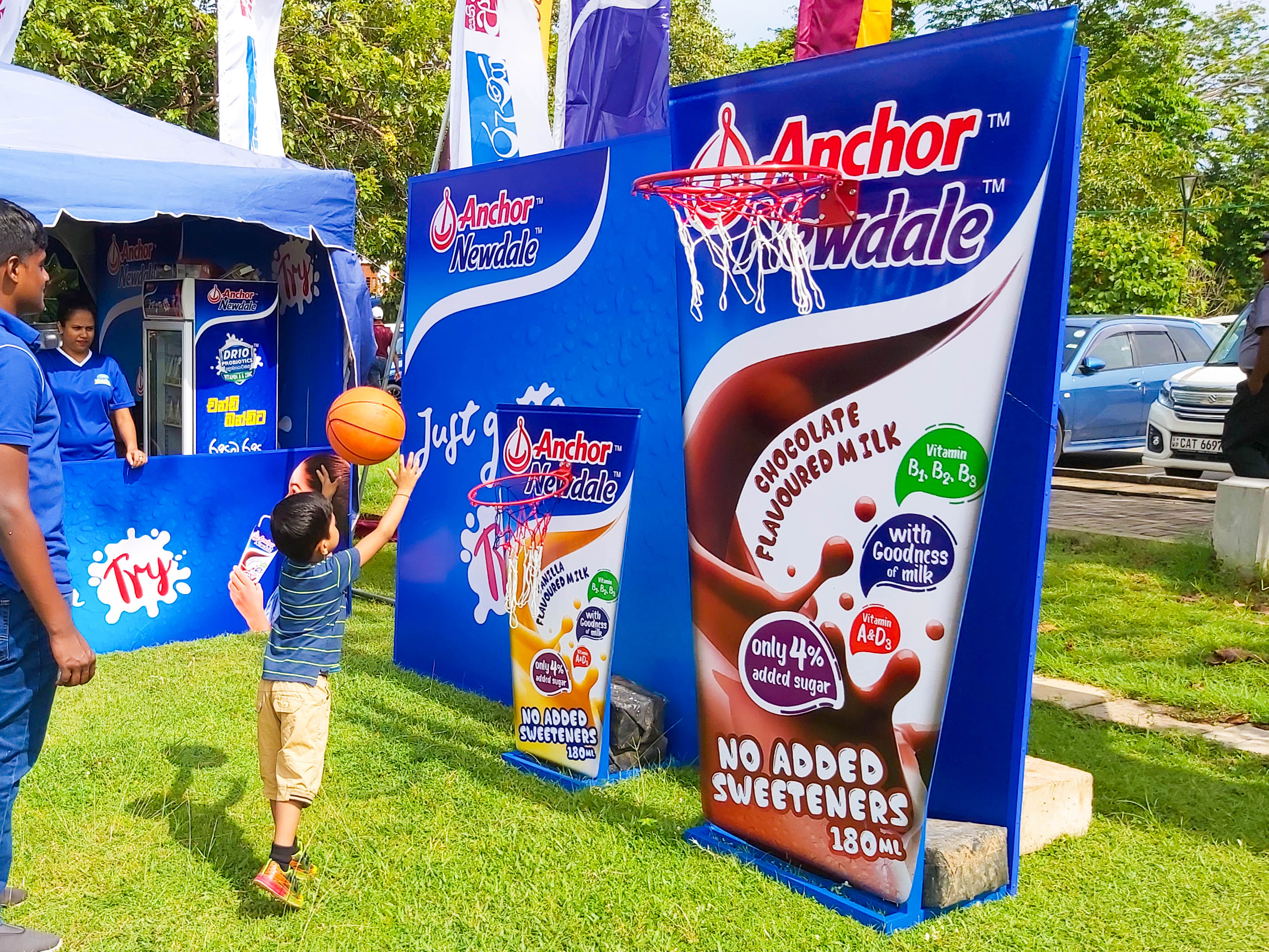 Newdale Sampling - Image 2